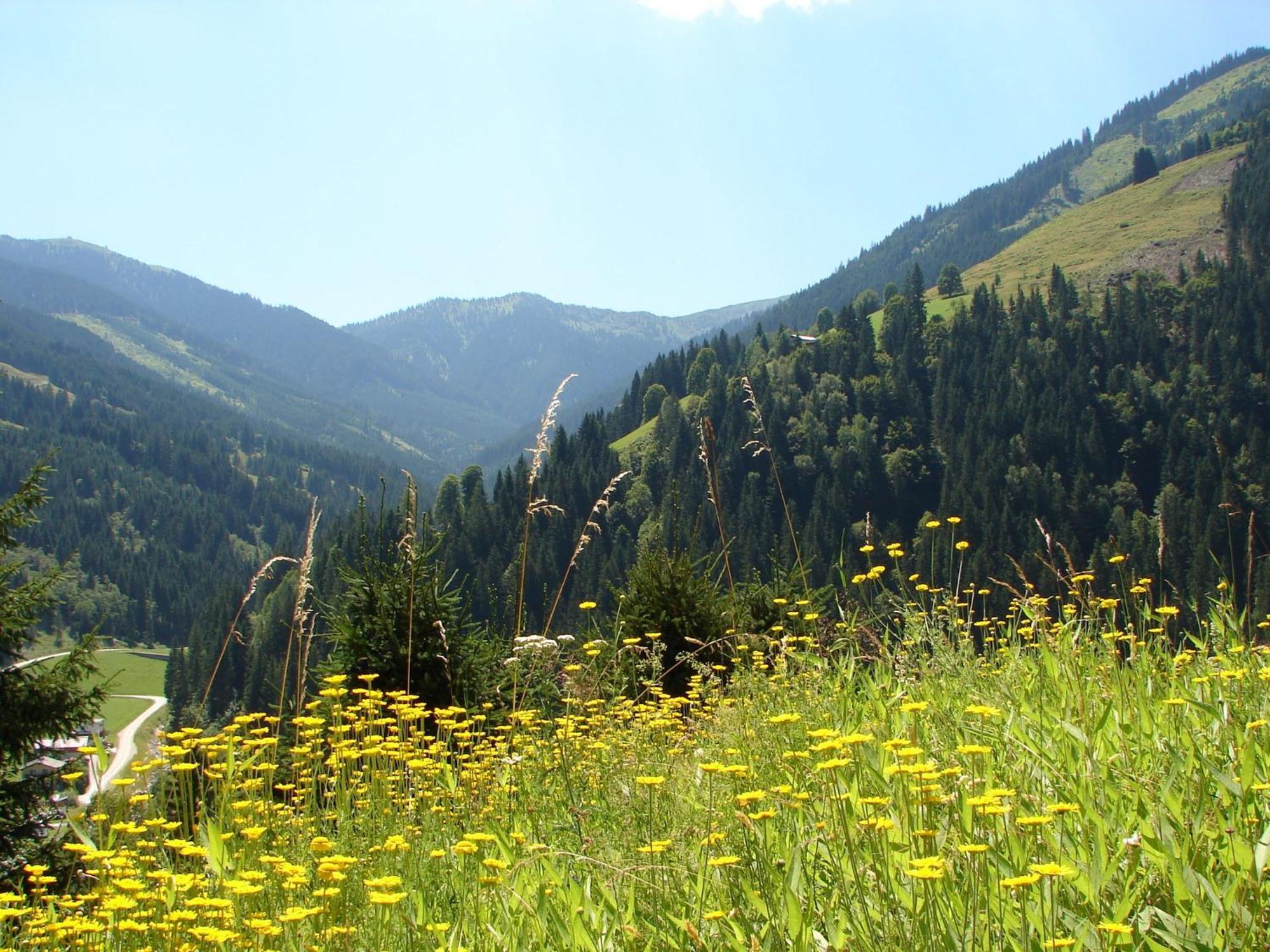 Chalet Huski Viehhofen Saalbach-Hinterglemm Zewnętrze zdjęcie